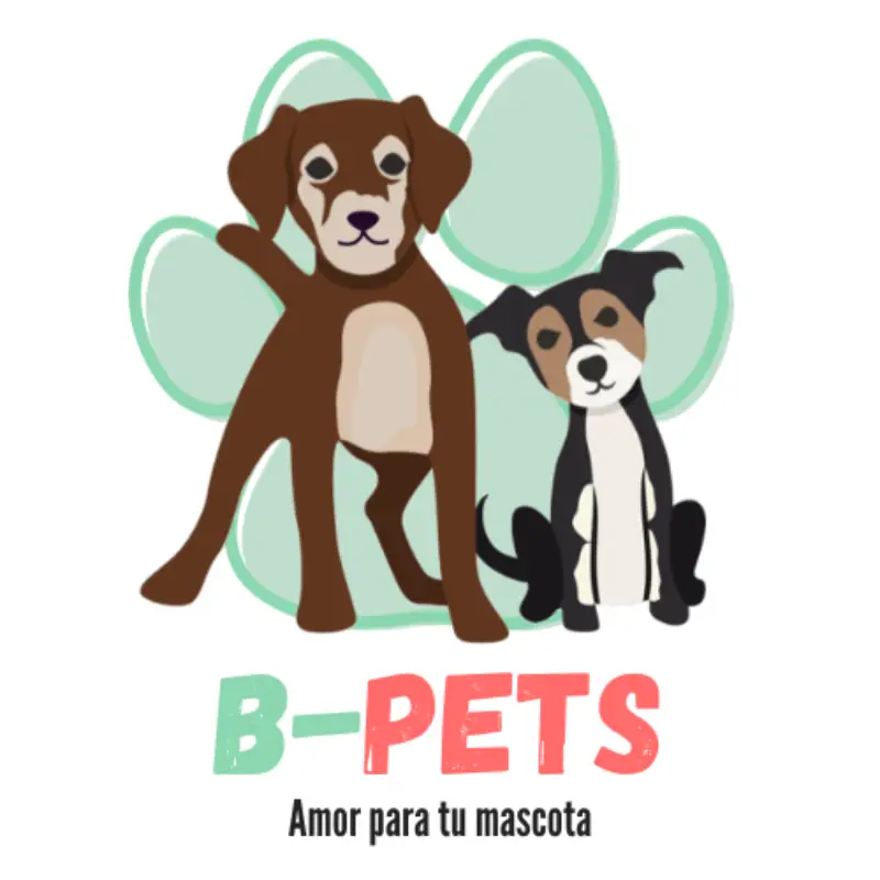 Ofertas Blackfriday en B-Pets