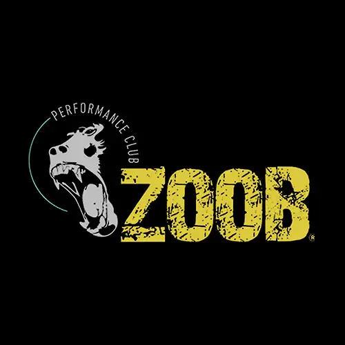 ZOOB Gym en Black Friday