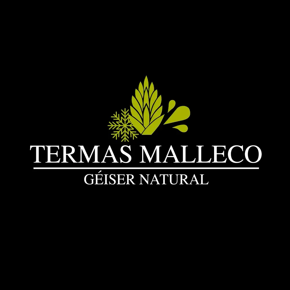 Termas Malleco