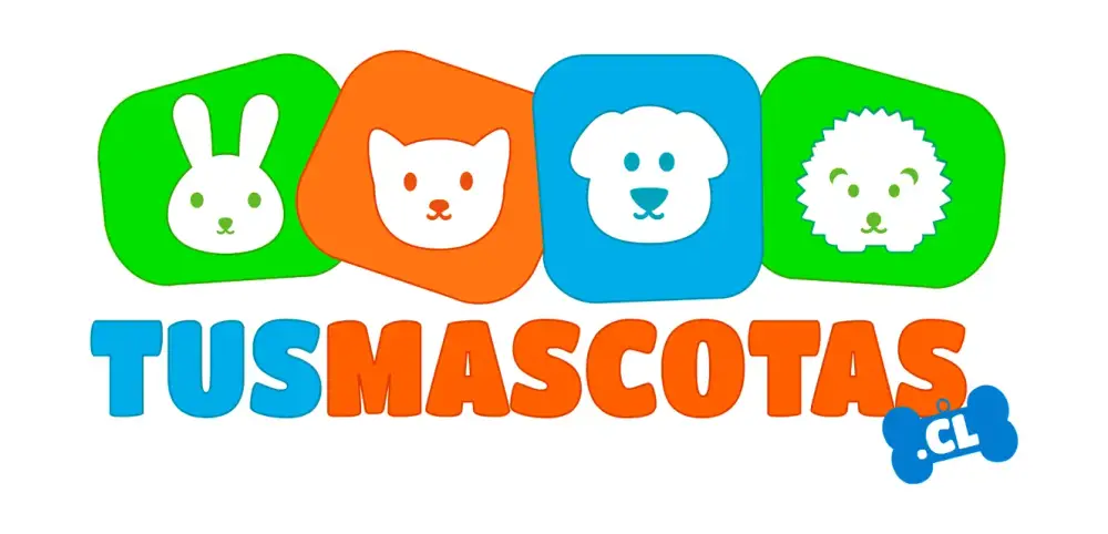 tusmascotas.cl